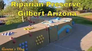 Riparian Preserve Great for Hiking in Gilbert Arizona ~ Samsung S10+