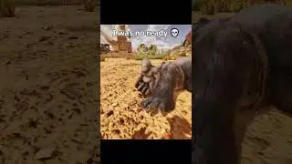 Ark Toons  