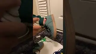 Shoe protector!