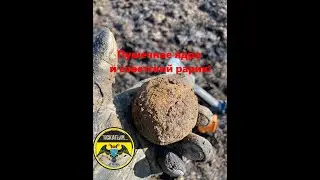 Рарик СССР, пушечное ядро и супер монетос на Go-Find 20!