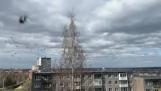 в Надвоицы 2025
