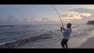 Catch for Friday Night 28
