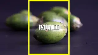 檳榔是怎麽生產出來的？你還敢吃嗎？檳榔是怎麼生產出來的？你還敢吃嗎？檳榔的製作方法，檳榔的危害，惡魔果實