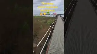 Как живут дяди в США 2024