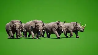 10+ Best Animal Stampede Race Green Screen | Wild Animals Running In One Frame