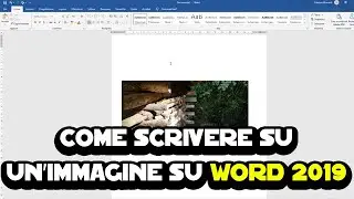 Come scrivere su un'immagine su Word 2019