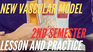 A New Vascular Model For 2nd Semester:  Lesson and Practice