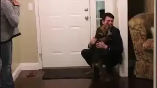 Собачье сердце!