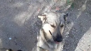 20190827 175443