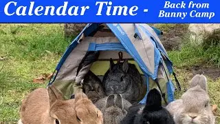 Back from Bunny Camp! #shorts