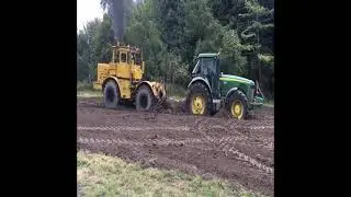 Bulldozer vs everything - Best Bulldozer challenge