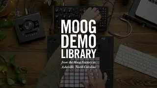 DFAM | Calibrate Ableton’s CV Tools to your Synth