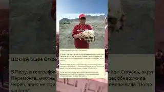 Шокирующее Открытие в Парамонге!