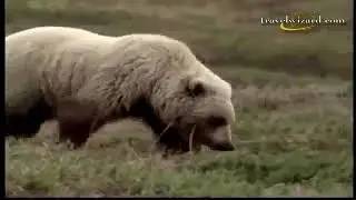 Alam Liar Alaska