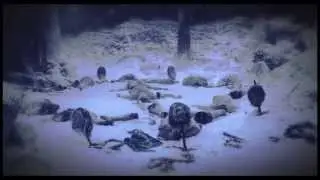 ...cold blood...|| ᴛʜᴇ ᴡʜɪᴛᴇ ᴡᴀʟᴋᴇʀs