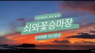 [쇠와꽃승마장] 제주관광공사 추천 승마장 안내(제주 핫플레이스)