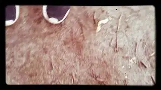 Хотел доказать что друг ударил пыром