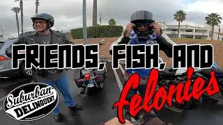 A day in the life of a Suburban Delinquent - King's Fish House