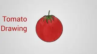 How to draw a tomato step by step//Tomato drawing 