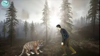 Ҳуҷуми ногаҳонии Паланг дар ..........