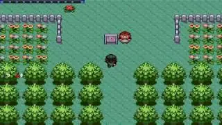 One vs Millions | Pokemon Rejuvenation - Part 39
