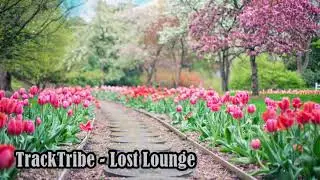 TrackTribe - Lost Lounge