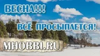Муха проснулась, а кругом снег... И гусеница на снегу...