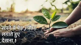 सपने में ख़ुद को पेड़ लगाते हुए देखना । सपने में पेड़ पौधा लगाना । Sapno ka matlab ।