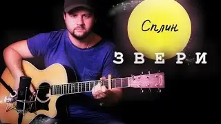 Zveri - Fingerstyle with Gitarin / Spleen