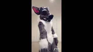 Рапторы из тиктока #фурри #рапторы #furry #dinomask #рекомендации