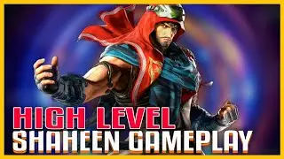 v1.11 Tekken 8 SephiBlack High Level Shaheen Gameplay | Ranked Match