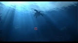 Виртуальная реальность VIEW-MASTER