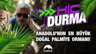 Babür Vatansever Bodrum'un farklı bir rotasına, bilinmeyen yönlerini görmek için yola çıkıyor.