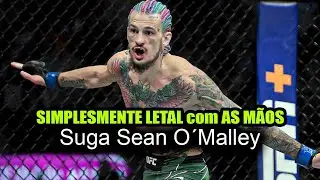 O MELHOR LUTADOR STRIKER DO UFC : SUGA SEAN O´MALLEY