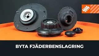 Hur man byter fjäderbenslagring [AUTODOC-LEKTION]