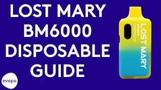 Lost Mary BM6000 disposable guide