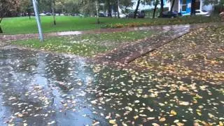 Не всё сбывается, как хочешь