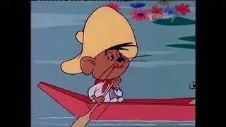 Zwariowane Melodie - Koty i siniaki