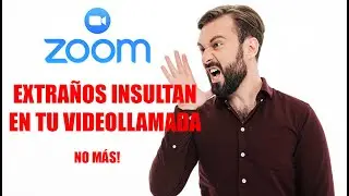 Evitar que personas extrañas insulten en tu videollamada zoom