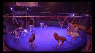 Аттракцион «Дрессированные львы»  ukrcircus.com
