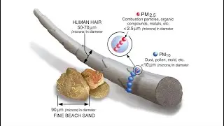 Spotlight on Particulate Matter