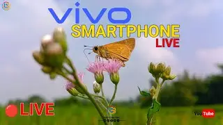 🔴 LIVE butterfly 🦋 | Vivo Smartphone | BAPIGRAPHY | Smart live | @VivoIndiaOfficial #butterfly