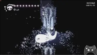 White Palace IL Room - Right Atrium Stallball