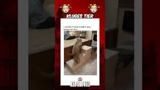 Kluges Tier! 🐕👀🥰 #shortsfeed #deutschland #satire #comedy #hund   #medienfuzzi #süss