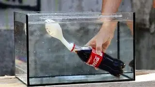 Experiment: Coca Cola VS Mentos