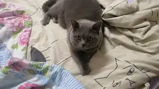 Помогите пожалуйста!?