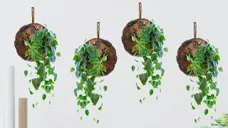 Houseplants Can Add Texture Style and Vibrancy To Your Interior Design//GREEN PLANTS
