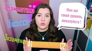 Ещё раз про уровни: ГРАММАТИКА и ЛЕКСИКА на разных уровнях, FAQ и ЭКЗАМЕНЫ