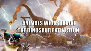 ANIMALS THAT SURVIVED THE DINOSAUR EXTINCTION