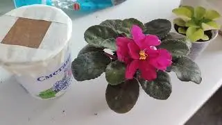 Cleaning 